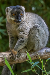 Madagascar 2022